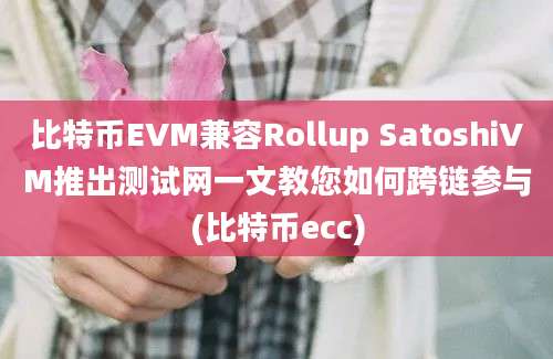 比特币EVM兼容Rollup SatoshiVM推出测试网一文教您如何跨链参与(比特币ecc)