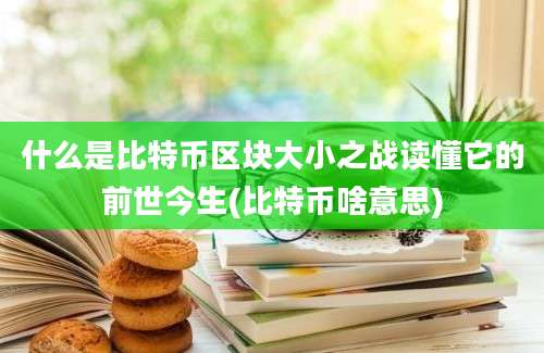 什么是比特币区块大小之战读懂它的前世今生(比特币啥意思)