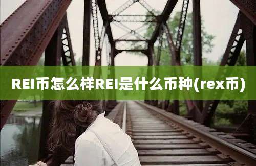 REI币怎么样REI是什么币种(rex币)