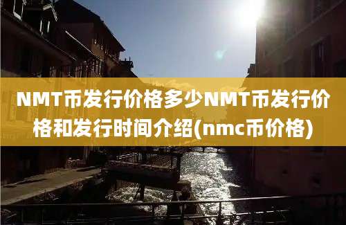 NMT币发行价格多少NMT币发行价格和发行时间介绍(nmc币价格)