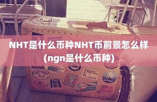 NHT是什么币种NHT币前景怎么样(ngn是什么币种)