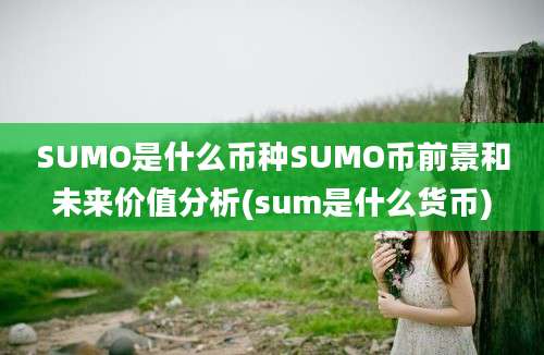 SUMO是什么币种SUMO币前景和未来价值分析(sum是什么货币)