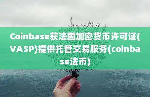 Coinbase获法国加密货币许可证(VASP)提供托管交易服务(coinbase法币)