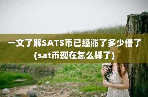 一文了解SATS币已经涨了多少倍了(sat币现在怎么样了)