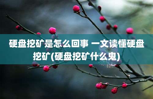 硬盘挖矿是怎么回事 一文读懂硬盘挖矿(硬盘挖矿什么鬼)