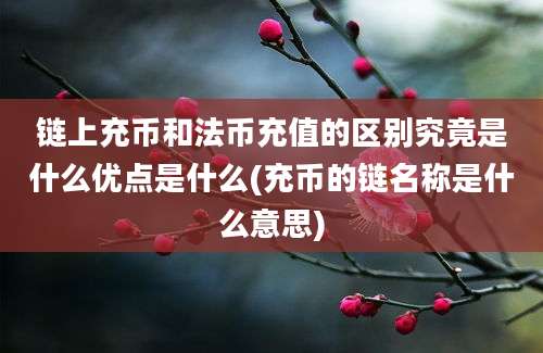 链上充币和法币充值的区别究竟是什么优点是什么(充币的链名称是什么意思)