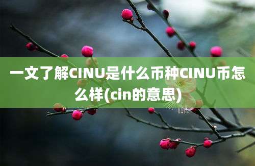 一文了解CINU是什么币种CINU币怎么样(cin的意思)