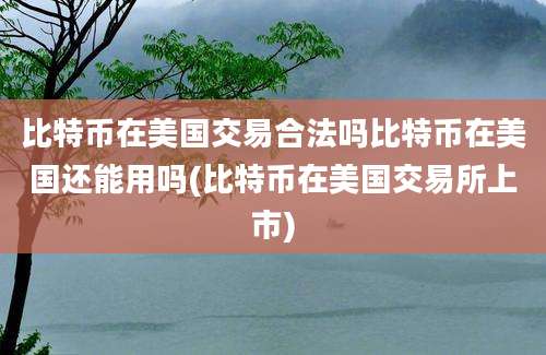 比特币在美国交易合法吗比特币在美国还能用吗(比特币在美国交易所上市)