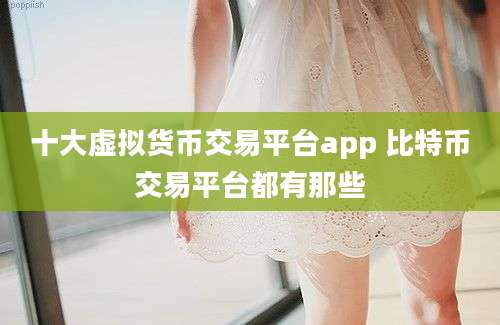 十大虚拟货币交易平台app 比特币交易平台都有那些