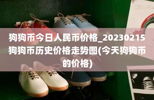 狗狗币今日人民币价格_20230215狗狗币历史价格走势图(今天狗狗币的价格)