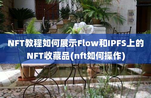 NFT教程如何展示Flow和IPFS上的NFT收藏品(nft如何操作)