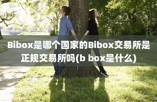 Bibox是哪个国家的Bibox交易所是正规交易所吗(b box是什么)