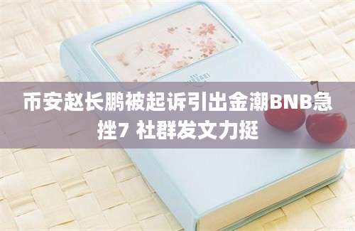 币安赵长鹏被起诉引出金潮BNB急挫7 社群发文力挺