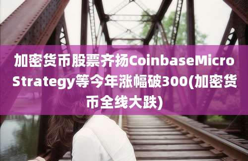 加密货币股票齐扬CoinbaseMicroStrategy等今年涨幅破300(加密货币全线大跌)