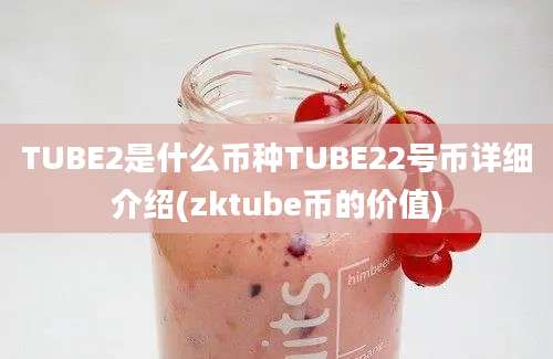 TUBE2是什么币种TUBE22号币详细介绍(zktube币的价值)