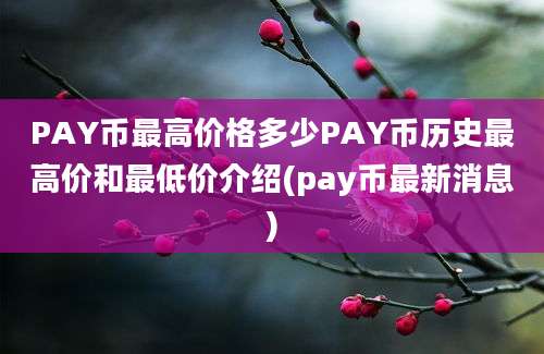 PAY币最高价格多少PAY币历史最高价和最低价介绍(pay币最新消息)