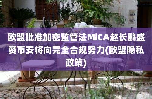 欧盟批准加密监管法MiCA赵长鹏盛赞币安将向完全合规努力(欧盟隐私政策)