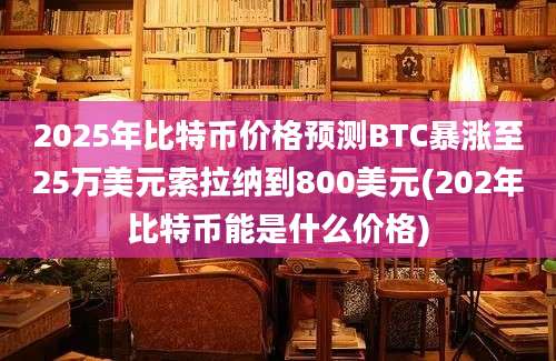 2025年比特币价格预测BTC暴涨至25万美元索拉纳到800美元(202年比特币能是什么价格)