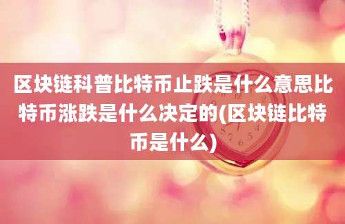 区块链科普比特币止跌是什么意思比特币涨跌是什么决定的(区块链比特币是什么)