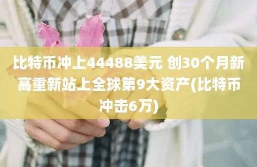 比特币冲上44488美元 创30个月新高重新站上全球第9大资产(比特币冲击6万)