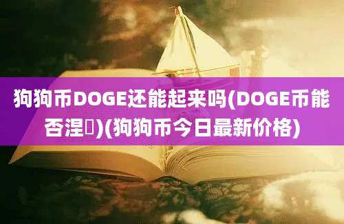 狗狗币DOGE还能起来吗(DOGE币能否涅槃)(狗狗币今日最新价格)