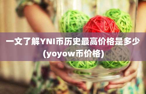 一文了解YNI币历史最高价格是多少(yoyow币价格)