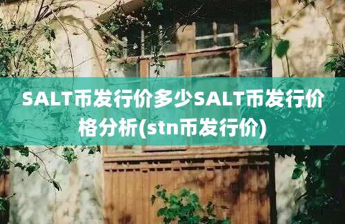 SALT币发行价多少SALT币发行价格分析(stn币发行价)