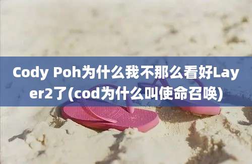 Cody Poh为什么我不那么看好Layer2了(cod为什么叫使命召唤)