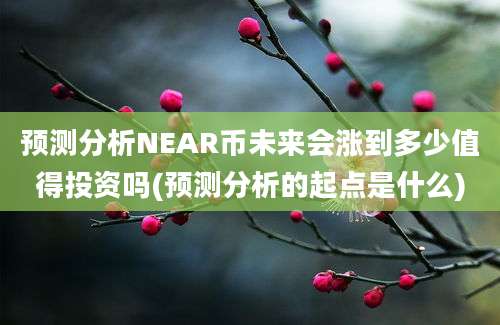 预测分析NEAR币未来会涨到多少值得投资吗(预测分析的起点是什么)