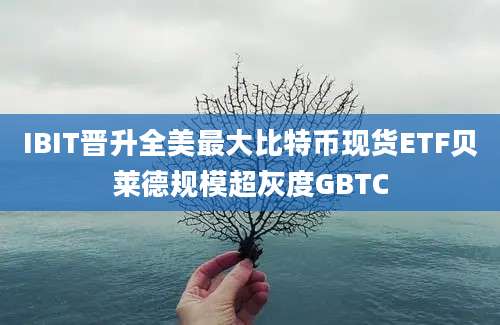 IBIT晋升全美最大比特币现货ETF贝莱德规模超灰度GBTC