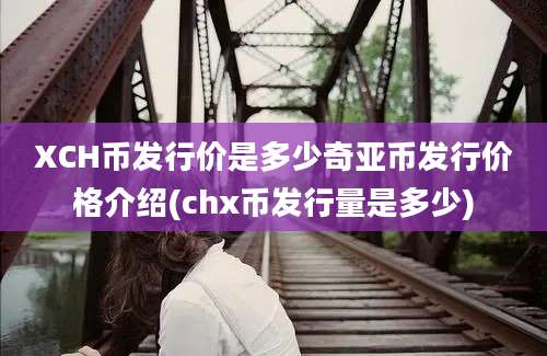 XCH币发行价是多少奇亚币发行价格介绍(chx币发行量是多少)