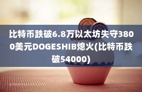 比特币跌破6.8万以太坊失守3800美元DOGESHIB熄火(比特币跌破54000)