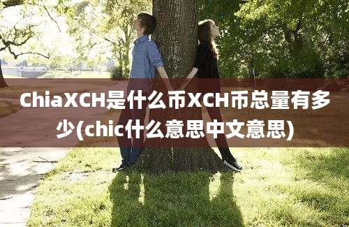 ChiaXCH是什么币XCH币总量有多少(chic什么意思中文意思)