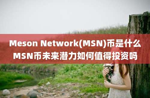 Meson Network(MSN)币是什么MSN币未来潜力如何值得投资吗