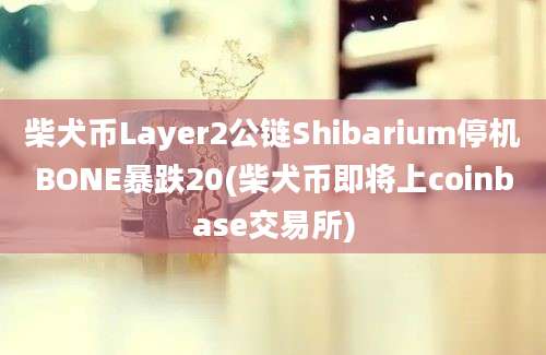 柴犬币Layer2公链Shibarium停机BONE暴跌20(柴犬币即将上coinbase交易所)