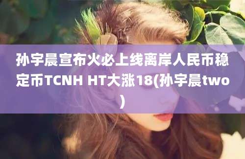 孙宇晨宣布火必上线离岸人民币稳定币TCNH HT大涨18(孙宇晨two)