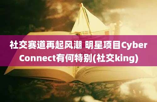 社交赛道再起风潮 明星项目CyberConnect有何特别(社交king)