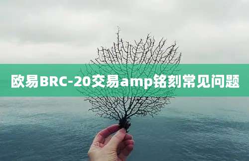 欧易BRC-20交易amp铭刻常见问题