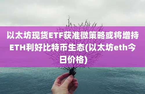 以太坊现货ETF获准微策略或将增持ETH利好比特币生态(以太坊eth今日价格)