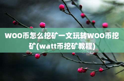 WOO币怎么挖矿一文玩转WOO币挖矿(watt币挖矿教程)