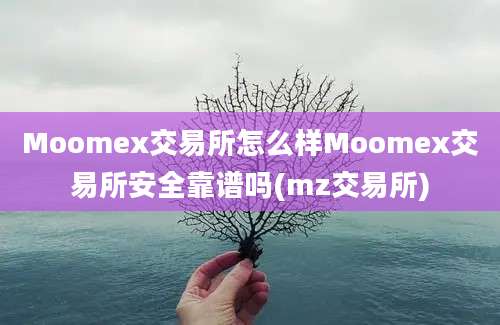 Moomex交易所怎么样Moomex交易所安全靠谱吗(mz交易所)