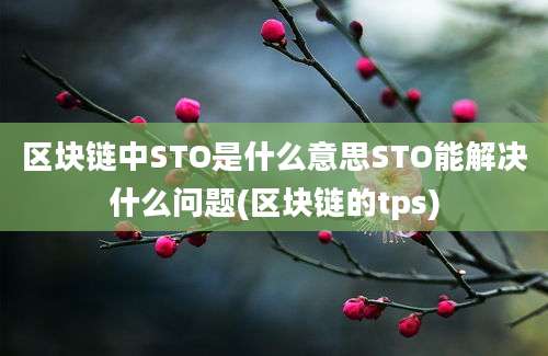 区块链中STO是什么意思STO能解决什么问题(区块链的tps)