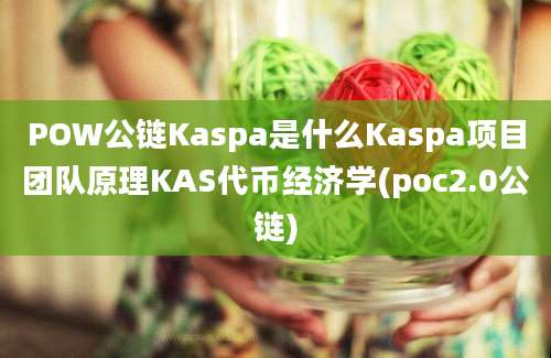 POW公链Kaspa是什么Kaspa项目团队原理KAS代币经济学(poc2.0公链)