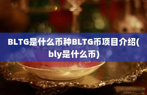 BLTG是什么币种BLTG币项目介绍(bly是什么币)