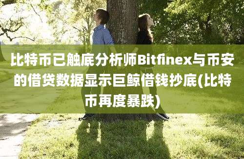 比特币已触底分析师Bitfinex与币安的借贷数据显示巨鲸借钱抄底(比特币再度暴跌)