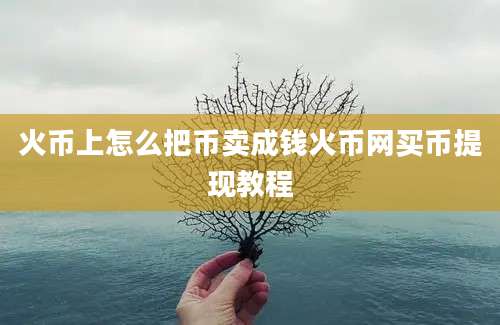 火币上怎么把币卖成钱火币网买币提现教程