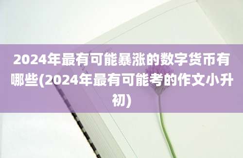 2024年最有可能暴涨的数字货币有哪些(2024年最有可能考的作文小升初)