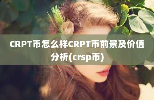 CRPT币怎么样CRPT币前景及价值分析(crsp币)