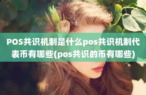 POS共识机制是什么pos共识机制代表币有哪些(pos共识的币有哪些)