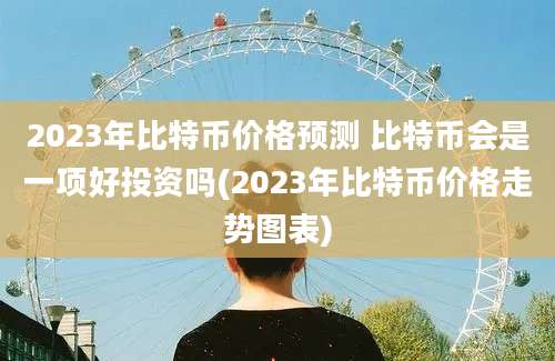 2023年比特币价格预测 比特币会是一项好投资吗(2023年比特币价格走势图表)